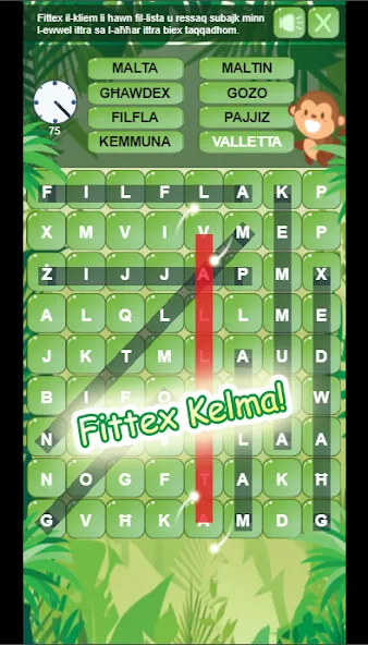 Fittex Kelma (Фиттекс Келма)  [МОД Много денег] Screenshot 5