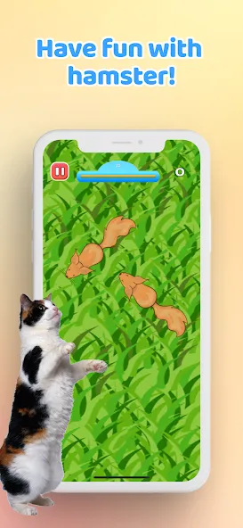 Games for Cat－Toy Mouse & Fish  [МОД Unlimited Money] Screenshot 5