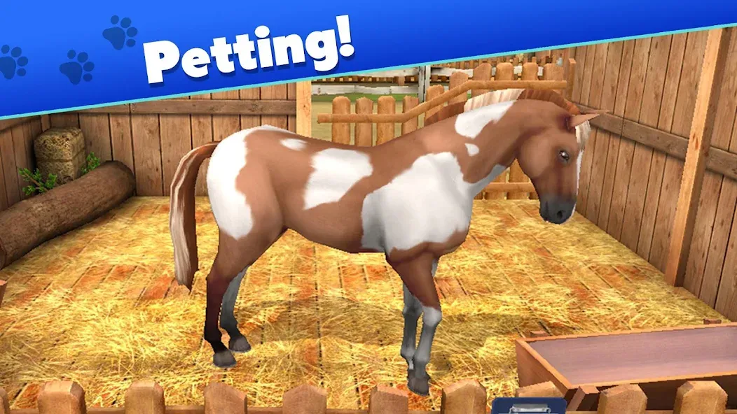 Pet World - My Animal Shelter (Пет Ворлд)  [МОД Бесконечные монеты] Screenshot 5